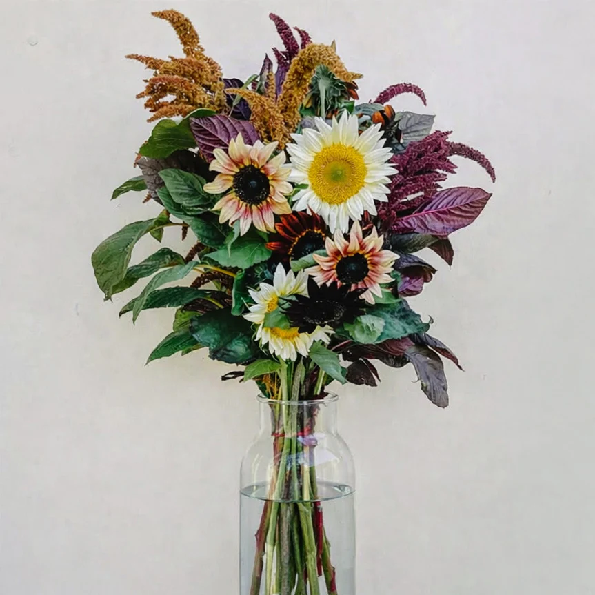 Primadonna Flower Collection - Image 3